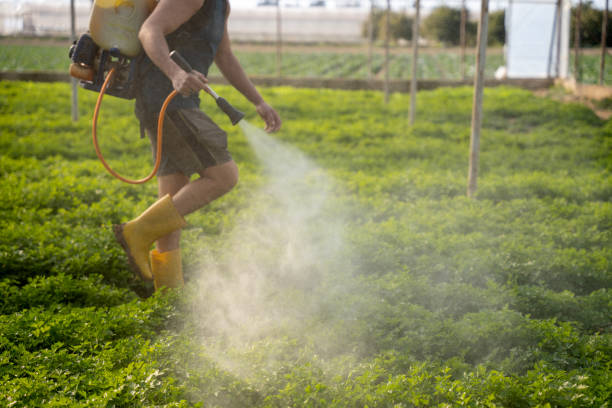 Best Best Pest Control Companies  in New Castle, PA