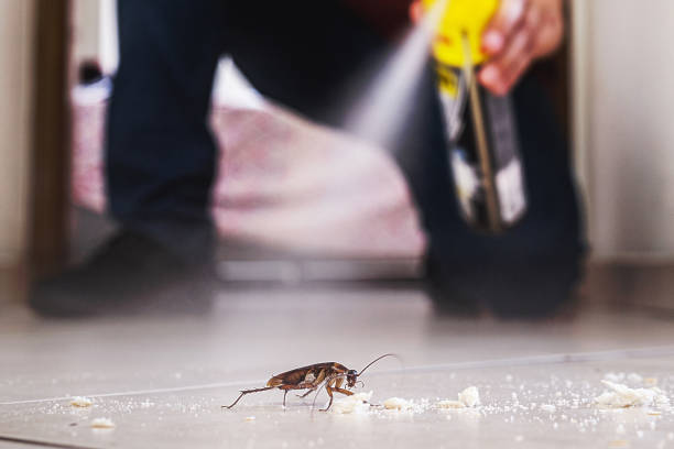 Best Local Pest Control Services  in New Castle, PA